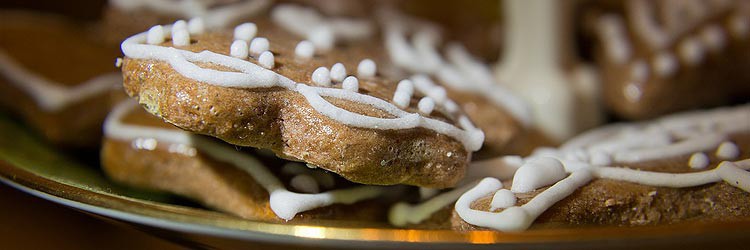 gingerbread-cookies-750x250