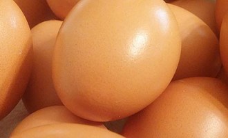 brown-eggs-up-close-750x250