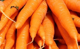 carrots-750x250