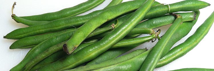 green-beans-750x250