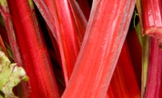 rhubarb