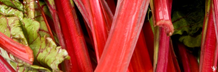 rhubarb