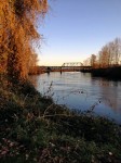 stephanie-snohomish-river