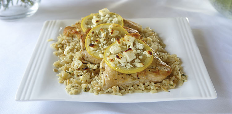 Greek-Chicken-750