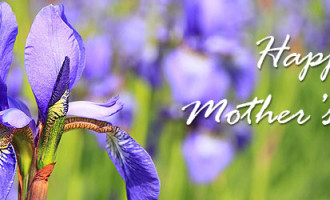 mothers-day-purple-flower-750x250