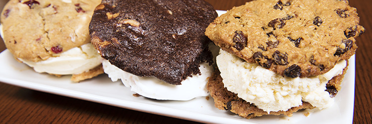 Ice_cream Sandwhich_FP