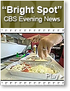 Bright Spot on CBS News