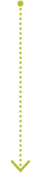 PlatePoints Green Arrow