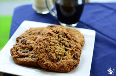 Oatmeal Raisin Gourmet Cookie
